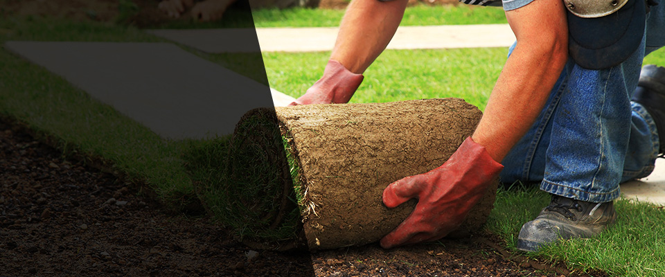 Missouri City Landscapers